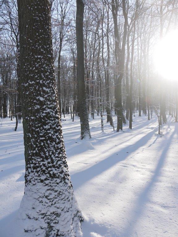 Winter-2014-verkleinert in 